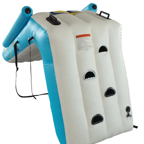 Inflatable Pontoon Water Slide 3